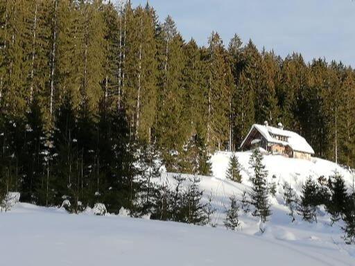 Ferienwohnung Schmaranzer โกเซา ภายนอก รูปภาพ